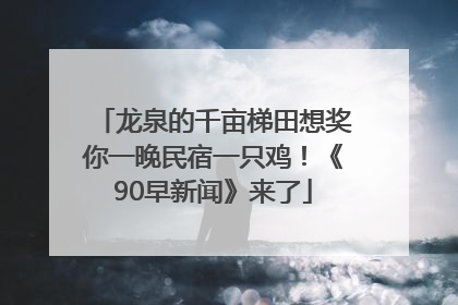 龙泉的千亩梯田想奖你一晚民宿一只鸡！《90早新闻》来了