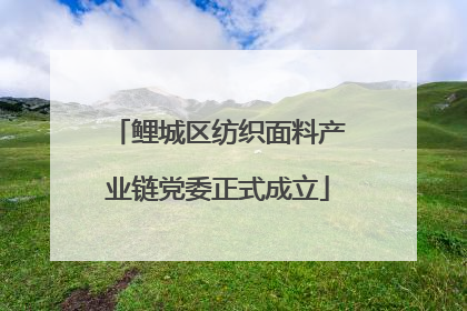 鲤城区纺织面料产业链党委正式成立