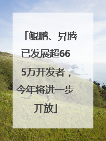 鲲鹏、昇腾已发展超665万开发者，今年将进一步开放