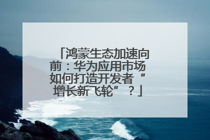 鸿蒙生态加速向前：华为应用市场如何打造开发者“增长新飞轮”？