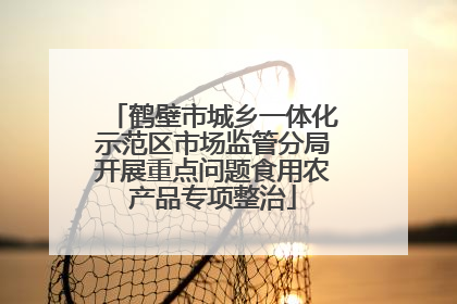 鹤壁市城乡一体化示范区市场监管分局开展重点问题食用农产品专项整治