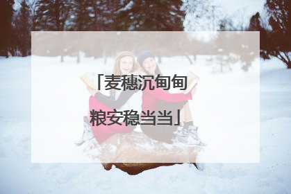 麦穗沉甸甸 粮安稳当当