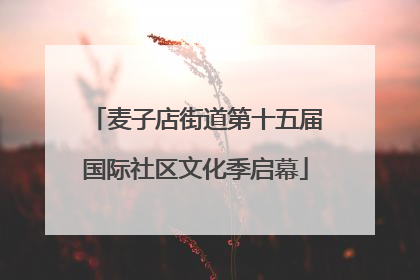 麦子店街道第十五届国际社区文化季启幕