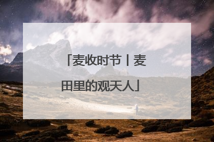 麦收时节丨麦田里的观天人