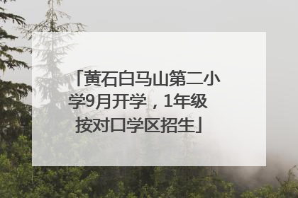 黄石白马山第二小学9月开学，1年级按对口学区招生