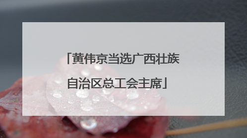 黄伟京当选广西壮族自治区总工会主席