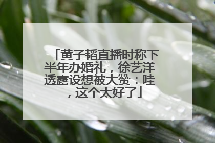 黄子韬直播时称下半年办婚礼，徐艺洋透露设想被大赞：哇，这个太好了