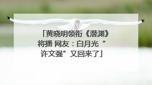 黄晓明领衔《潜渊》将播 网友：白月光“许文强”又回来了