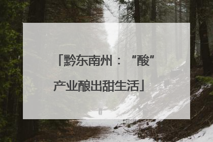黔东南州：“酸”产业酿出甜生活