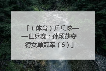 （体育）乒乓球——世乒赛：孙颖莎夺得女单冠军（6）