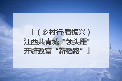 （乡村行·看振兴）江西共青城“领头雁”开辟致富“新稻路”