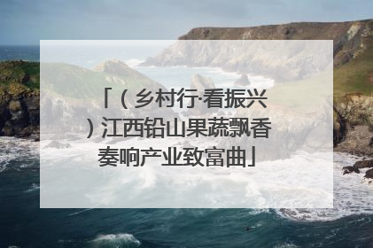（乡村行·看振兴）江西铅山果蔬飘香 奏响产业致富曲
