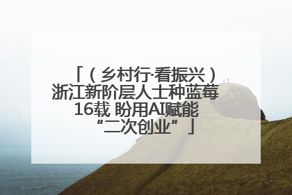 （乡村行·看振兴）浙江新阶层人士种蓝莓16载 盼用AI赋能“二次创业”