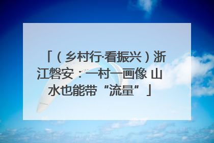 （乡村行·看振兴）浙江磐安：一村一画像 山水也能带“流量”