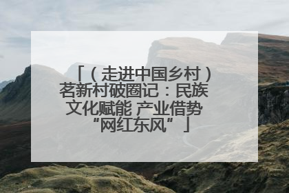 （走进中国乡村）茗新村破圈记：民族文化赋能 产业借势 “网红东风”