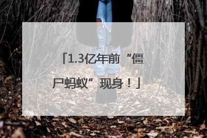 1.3亿年前“僵尸蚂蚁”现身！