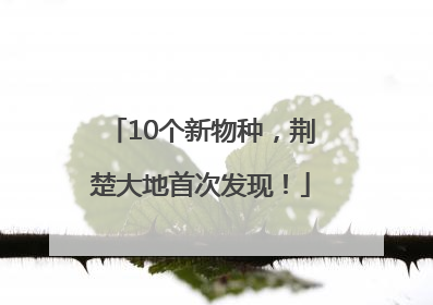 10个新物种，荆楚大地首次发现！