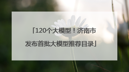 120个大模型！济南市发布首批大模型推荐目录
