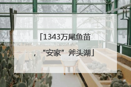 1343万尾鱼苗，“安家”斧头湖