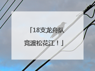 18支龙舟队竞渡松花江！