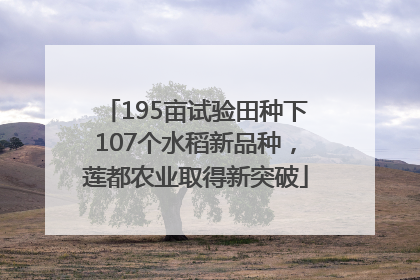 195亩试验田种下107个水稻新品种，莲都农业取得新突破