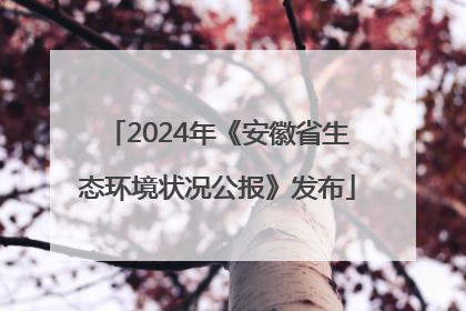 2024年《安徽省生态环境状况公报》发布