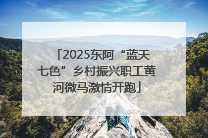 2025东阿“蓝天七色”乡村振兴职工黄河微马激情开跑
