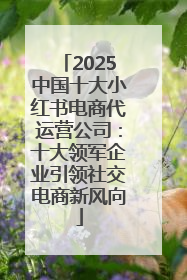 2025中国十大小红书电商代运营公司：十大领军企业引领社交电商新风向