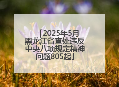 2025年5月黑龙江省查处违反中央八项规定精神问题805起