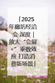 2025年廊坊经洽会·深度｜放大“会展+”乘数效应 打造消费新场景