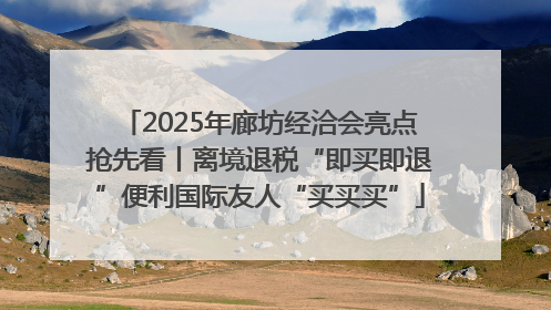 2025年廊坊经洽会亮点抢先看丨离境退税“即买即退”便利国际友人“买买买”