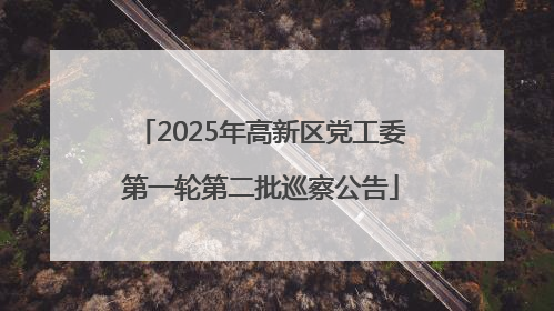 2025年高新区党工委第一轮第二批巡察公告