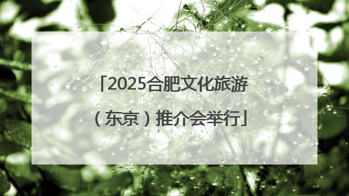 2025合肥文化旅游(东京)推介会举行