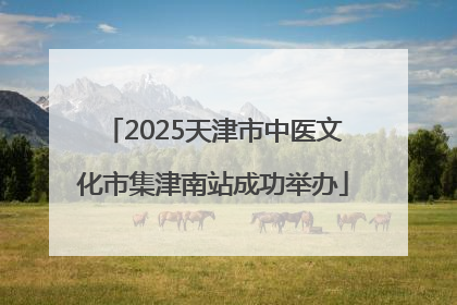 2025天津市中医文化市集津南站成功举办