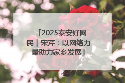 2025泰安好网民｜宋芹：以网络力量助力家乡发展