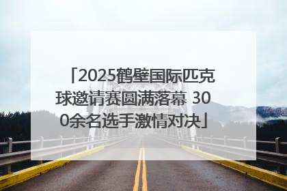 2025鹤壁国际匹克球邀请赛圆满落幕 300余名选手激情对决