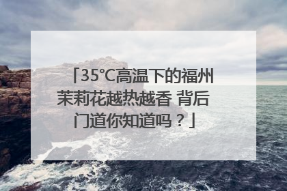 35℃高温下的福州茉莉花越热越香 背后门道你知道吗？