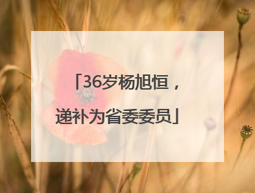 36岁杨旭恒，递补为省委委员