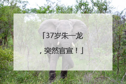 37岁朱一龙，突然官宣！