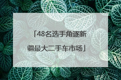 48名选手角逐新疆最大二手车市场