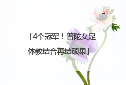 4个冠军！普陀女足体教结合再结硕果