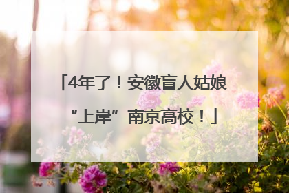 4年了！安徽盲人姑娘“上岸”南京高校！