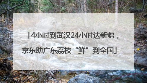 4小时到武汉24小时达新疆，京东助广东荔枝“鲜”到全国