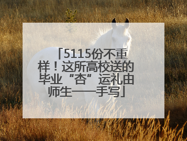 5115份不重样！这所高校送的毕业“杏”运礼由师生一一手写