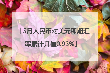 5月人民币对美元即期汇率累计升值0.93%