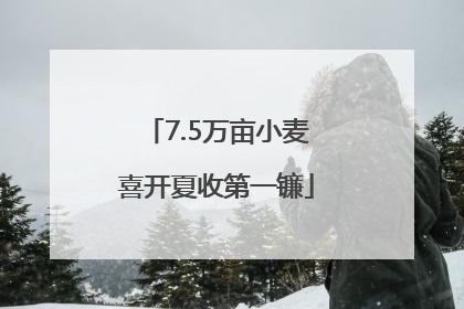 7.5万亩小麦喜开夏收第一镰
