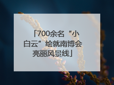 700余名“小白云”绘就南博会亮丽风景线