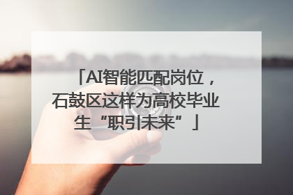 AI智能匹配岗位，石鼓区这样为高校毕业生“职引未来”