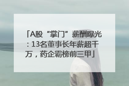 A股“掌门”薪酬曝光：13名董事长年薪超千万，药企霸榜前三甲