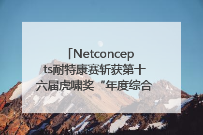 Netconcepts耐特康赛斩获第十六届虎啸奖“年度综合服务商”大奖